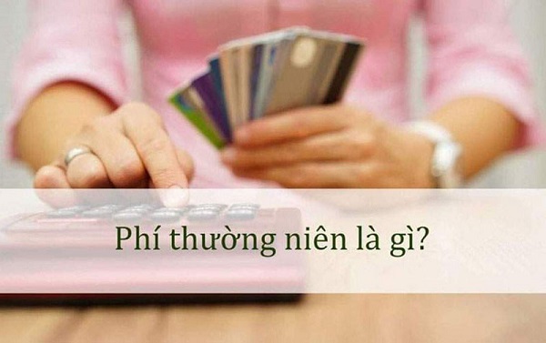 phi thuong nien taichinh24h 1