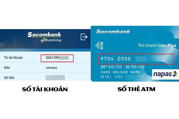 so tai khoan sacombank taichinh24h 2