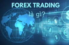Forex trading la gi 4388dfae