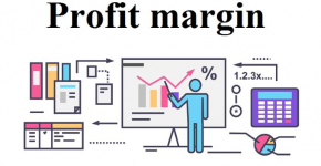 Net Profit Margin la gi 830cb23f