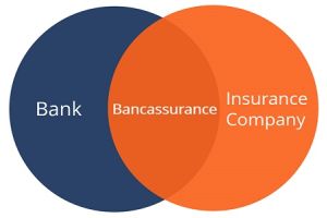 bancassurance taichinh24h c78b089f