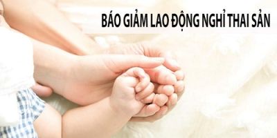 bao giam thai san taichinh24h 4ce0b4d7