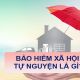 Esop là gì? Những điều cần biết về cổ phiếu Esop 19 bao hiem xa hoi tu nguyen taichinh24h 4ef7f2d3