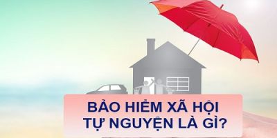 bao hiem xa hoi tu nguyen taichinh24h 76c00d08