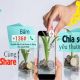 Trader là gì? Bí quyết giúp bạn trở thành Trader Chuyên Nghiệp 17 cach chuyen tien qua dien thoai taichinh24h af1cbf99