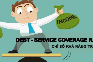 chi so kha nang tra no e173b3ee