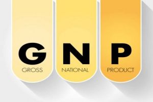 gnp la gi taichinh24h 7f29565e