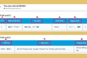 ma so ho gia dinh taichinh24h 0ac68c07