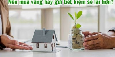nen mua vang hay gui tiet kiem taichinh24h 120e5764