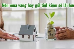 nen mua vang hay gui tiet kiem taichinh24h c869fce4