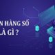 ngan hang so taichinh24h 72dcc0d8