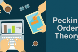 pecking order theory 8f27d40a
