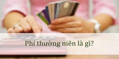 phi thuong nien taichinh24h 842fe651