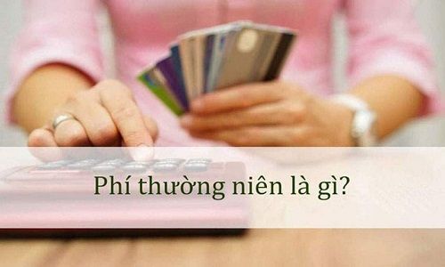 phi thuong nien taichinh24h f4489090