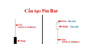 pin bar la gi e3069b0e