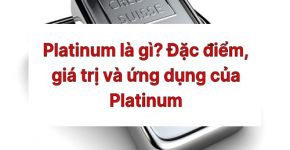 platinum la gi taichinh24h 3326cc37