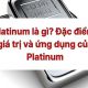 Cách rút tiền ở cây ATM an toàn không lo bị nuốt thẻ ATM 11 platinum la gi taichinh24h 779ce2c3