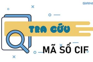 so cif la gi taichinh24h 0f36835d