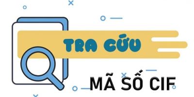 so cif la gi taichinh24h d55128dd