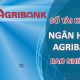 so tai khoan agribank taichinh24h 2d100754