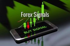 tin hieu forex la gi c7145932