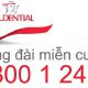tong dai prudential 02aa8d28