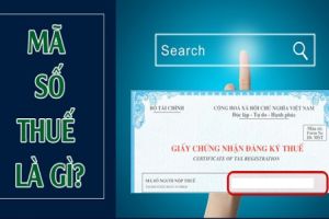 tra ngay cap ma so thue taichinh24h 498a3b0a