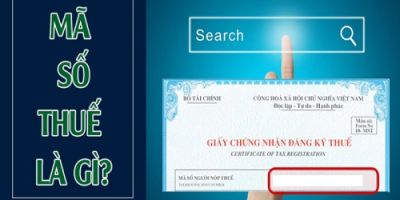 tra ngay cap ma so thue taichinh24h 93ed908a