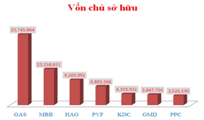 Vốn chủ sở hữu doanh nghiệp của một số đơn vị