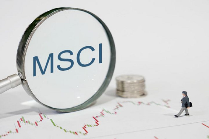 MSCI là gì và chỉ số này phản ánh điều gì?