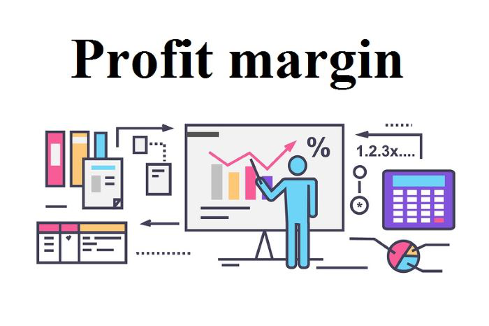 Biên lợi nhuận ròng (Net Profit Margin) là gì