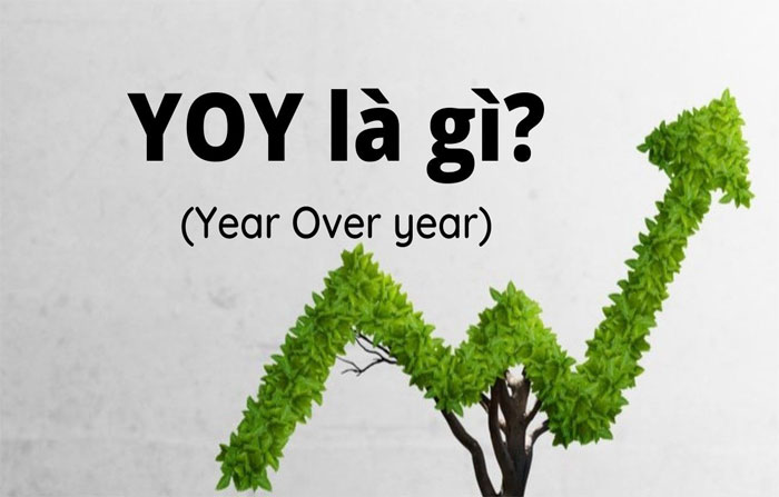 YOY (Year Over Year) là gì?